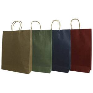 Sacola para Presente Color M 28 x 37 x 10 cm - Organiz